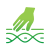 PHYSIO_HP_2025_Icons_Bindegewebsmassage