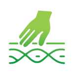 PHYSIO_HP_2025_Icons_Bindegewebsmassage
